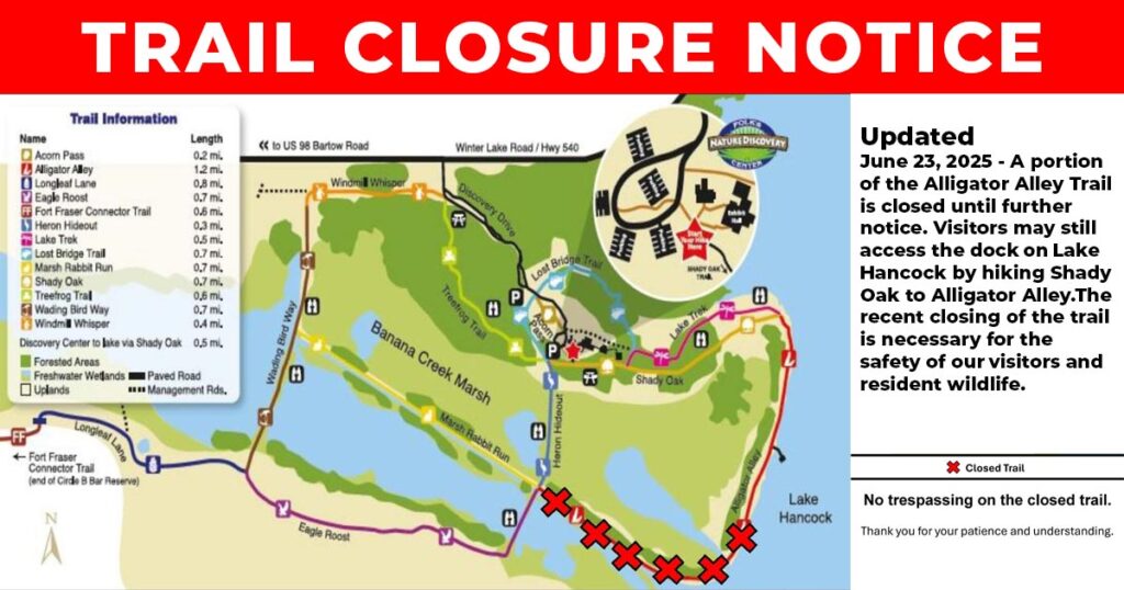 Updated June 23, 2025 - A portion of the Alligator Alley Trail is closed until further notice. Visitors may still access the dock on Lake Hancock by hiking Shady Oak to Alligator Alley.The recent closing of the trail is necessary for the safety of our visitors and resident wildlife.