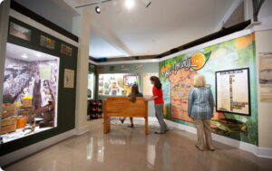 Women enjoying Polk County History Center's Citrus Label Tour exhibit