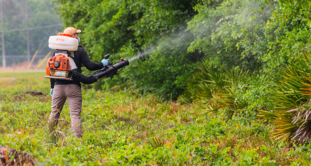 Person with backpack sprayer spraying for mosquitos.