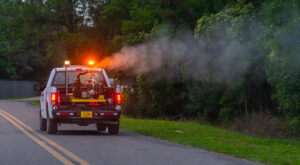 Yon kamyonèt blan ak yon machin flite ap emèt vapè sou yon wout de liy ki gen pyebwa aliyen ak li.