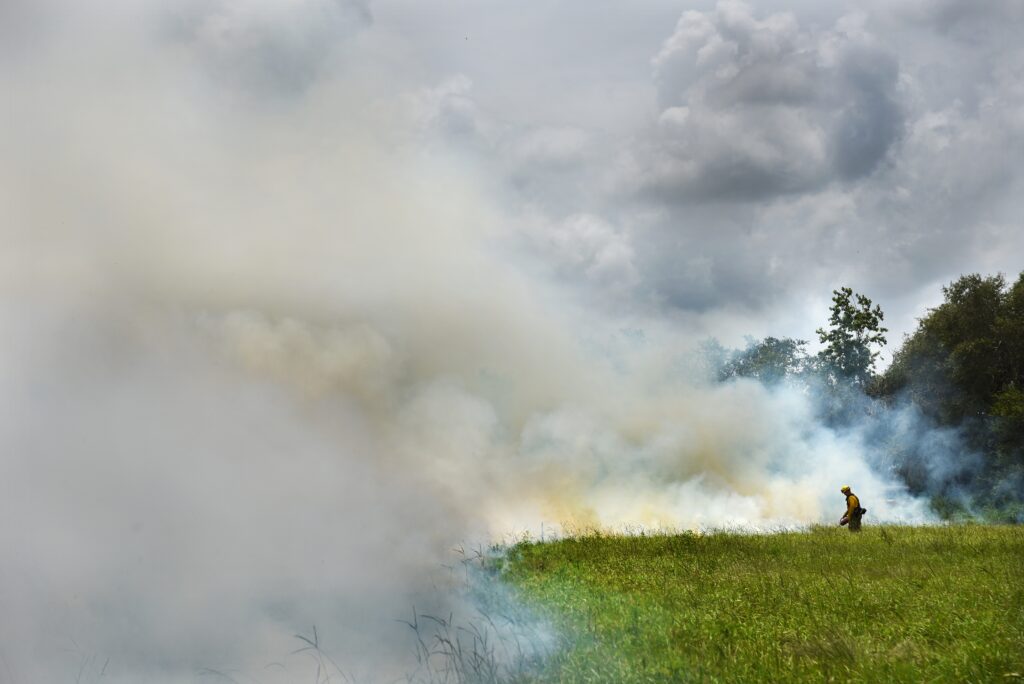 news item: Parks and Natural Resources Staff Conduct Prescribed Burn at Crooked Lake Prairie