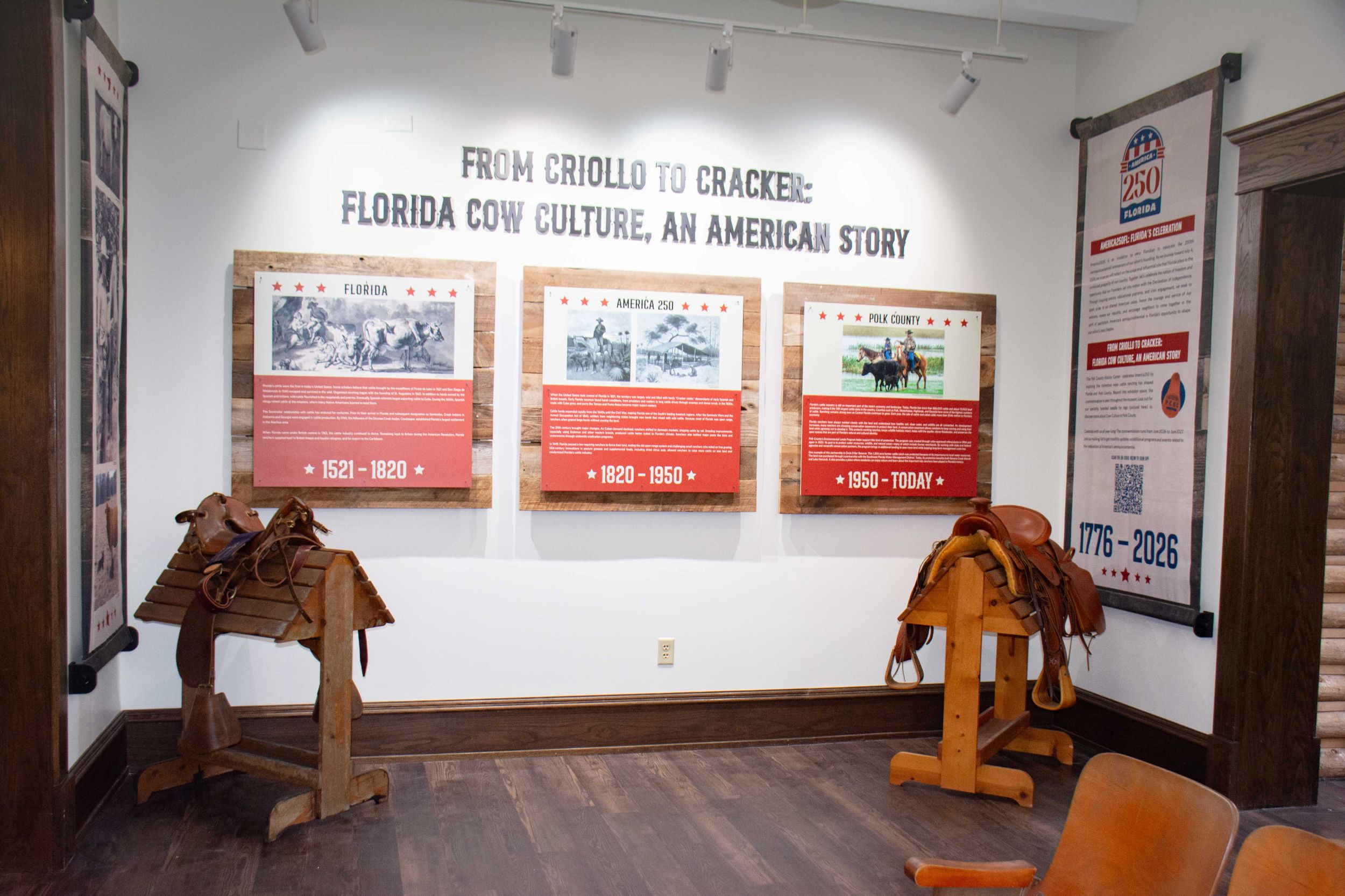 Polk County History Center's From Criollo to Cracker: Florida Cow Culture, An American Story exhibit. Three interpretive panels trace the history of Florida cattle culture from 1521 to today, with two saddles displayed on wooden saddle stands in the foreground. A large America 250 informational banner stands to the right