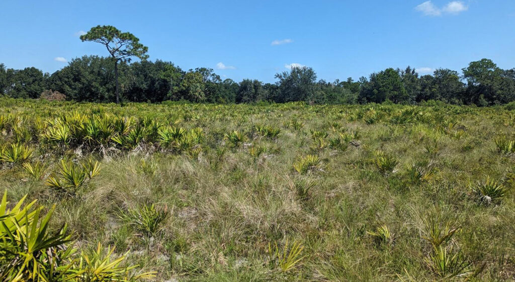 news item: Polk County and State of Florida Collaborate to Preserve Nearly 1,000 Acres of Agricultural Land